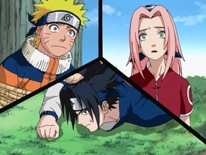 Naruto Sezonul 1 Episodul 5