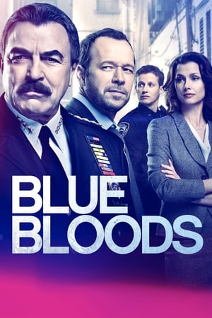 watch Blue Bloods Season 9 free