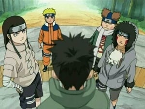 Naruto Sezonul 3 Episodul 110