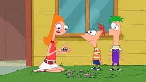 Phineas și Ferb Sezonul 3 Episodul 10
