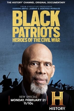 Black Patriots: Heroes of the Civil War Streaming