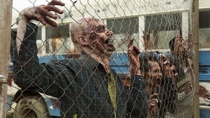 Fear the Walking Dead 2 Sezon 14 Bölüm