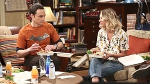 The Big Bang Theory 9 Sezon 22 Bölüm