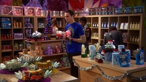 The Big Bang Theory 2 Sezon 11 Bölüm