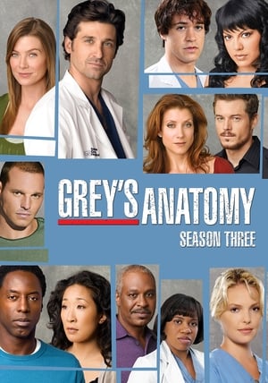 watch serie Grey's Anatomy  Season 3 HD online free