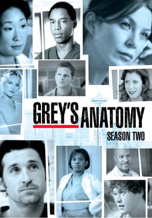 watch serie Grey's Anatomy  Season 2 HD online free