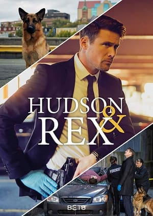 watch serie Hudson & Rex Season 2 HD online free