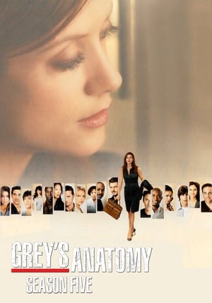 Grey's Anatomy  Season 5