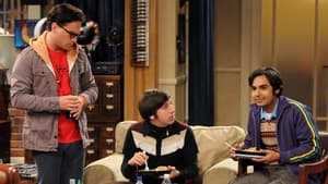 The Big Bang Theory 5 Sezon 8 Bölüm