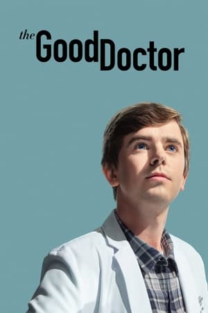 The Good Doctor Season 5 tv show online