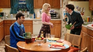 The Big Bang Theory 8 Sezon 24 Bölüm