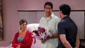 Friends 9 Sezon 1 Bölüm