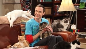 The Big Bang Theory 4 Sezon 3 Bölüm