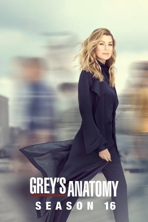 watch Grey's Anatomy  Season 16 free