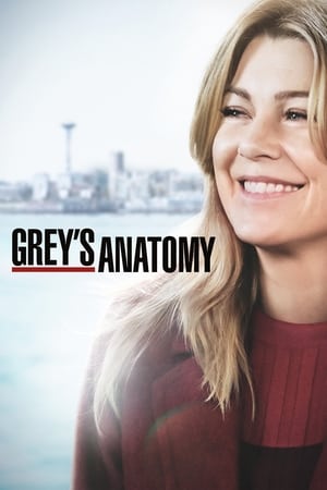 watch Grey's Anatomy  Season 15 free