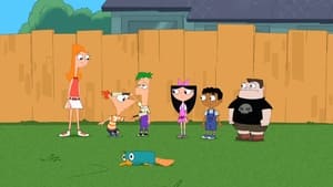 Phineas și Ferb Sezonul 3 Episodul 14