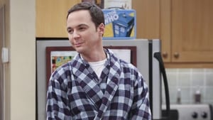 The Big Bang Theory 9 Sezon 13 Bölüm