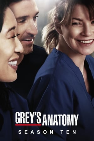 watch serie Grey's Anatomy  Season 10 HD online free