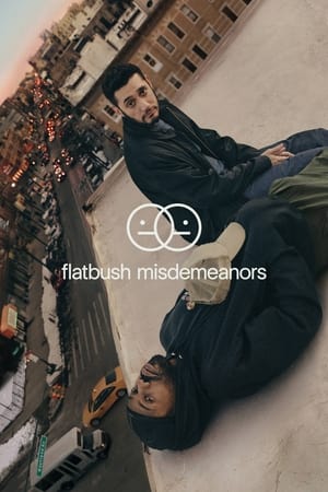 Flatbush Misdemeanors Season 1