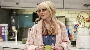 The Big Bang Theory 11 Sezon 17 Bölüm