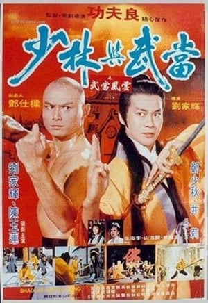 Shaolin Contre Wu Tong - 1983