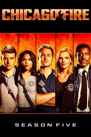 Chicago Fire Season 5 tv show online