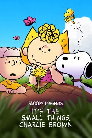 Watch HD Snoopy Presents: It's the Small Things, Charlie Brown online