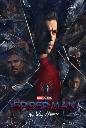 movie poster for spider-man