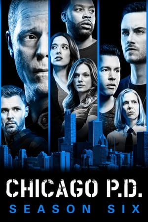 watch serie Chicago P.D. Season 6 HD online free