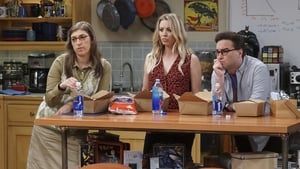 The Big Bang Theory 10 Sezon 9 Bölüm