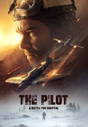The Pilot. A Battle for Survival on Lookmovie free