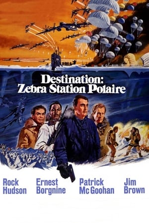 Destination : Zebra, station polaire Streaming VF