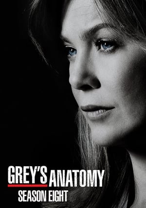 watch serie Grey's Anatomy  Season 8 HD online free