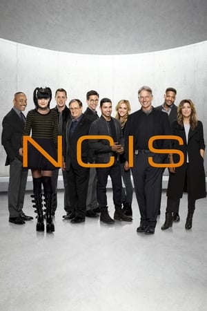 NCIS Season 14