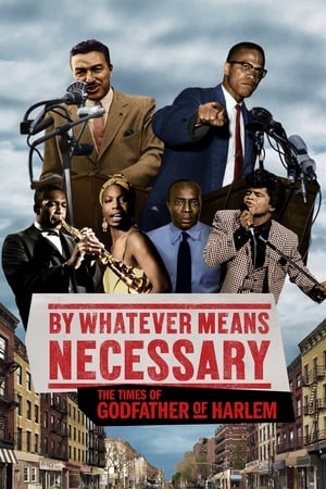 By Whatever Means Necessary: The Times of Godfather of Harlem Season 1