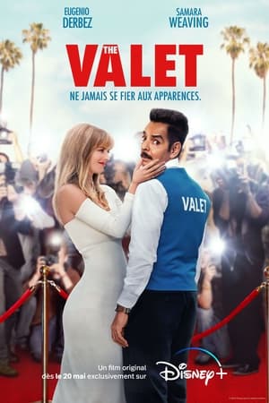 Watch The Valet online free