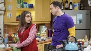 The Big Bang Theory 10 Sezon 17 Bölüm