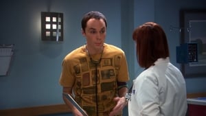 The Big Bang Theory 2 Sezon 10 Bölüm
