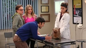 The Big Bang Theory 7 Sezon 15 Bölüm