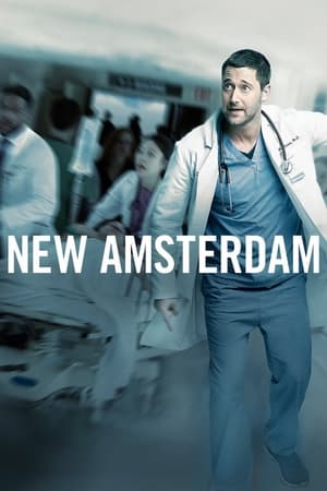 watch New Amsterdam Season 1 free
