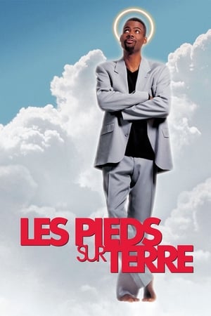 Les Pieds Sur Terre - Down To Earth - 2001