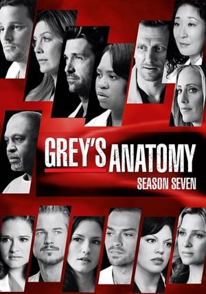 Grey's Anatomy  Season 7