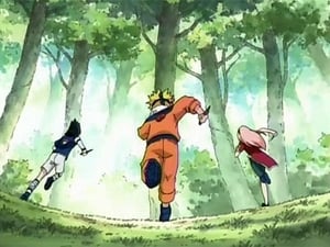 Naruto Sezonul 1 Episodul 10