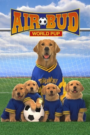 Air Bud 3: le chien etoile Streaming VF