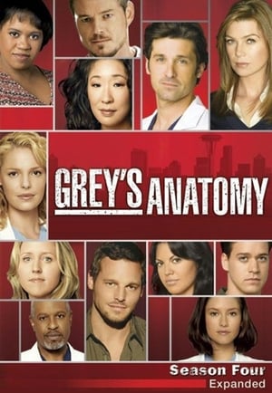 watch serie Grey's Anatomy  Season 4 HD online free