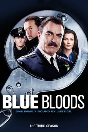 watch serie Blue Bloods Season 3 HD online free