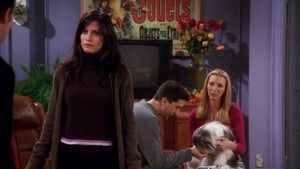 Friends 7 Sezon 8 Bölüm