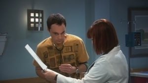 The Big Bang Theory 2 Sezon 10 Bölüm