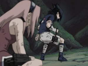 Naruto Sezonul 1 Episodul 28