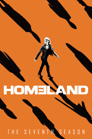 Homeland poster